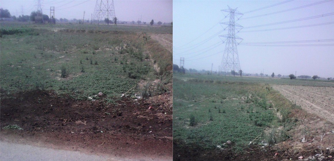 Agricultural-Land--Farm-Land-For-Sale-in-Najafgarh-New-Delhi