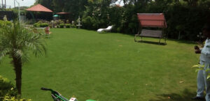 Farm House For Sale in Sector 144 Noida